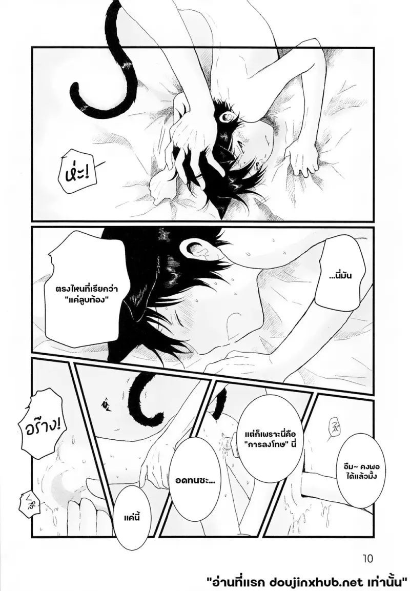 โดจิน ขนแมวกลิ่นควัน